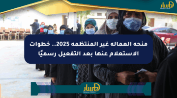 منحة العمالة غير المنتظمة 2025.. خطوات الاستعلام عنها بعد التفعيل رسميًا